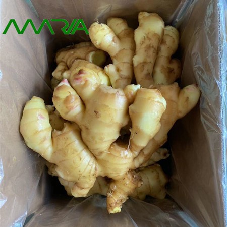 Ny sesong fersk ingefær